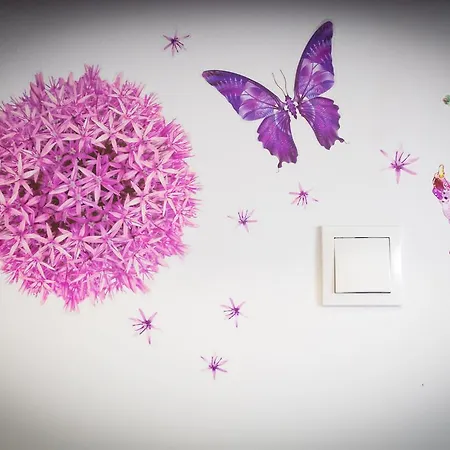 شقة Bingo تروغير