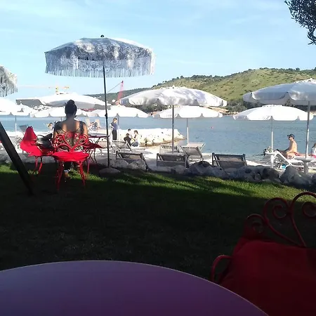 Bingo * Trogir