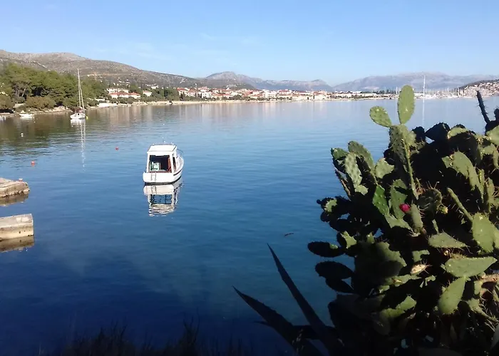 Bingo Trogir